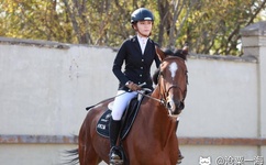 成人网站A片色情免费观看